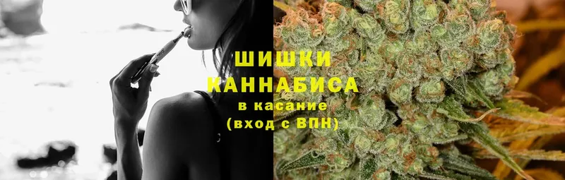 Конопля OG Kush  Артёмовский 